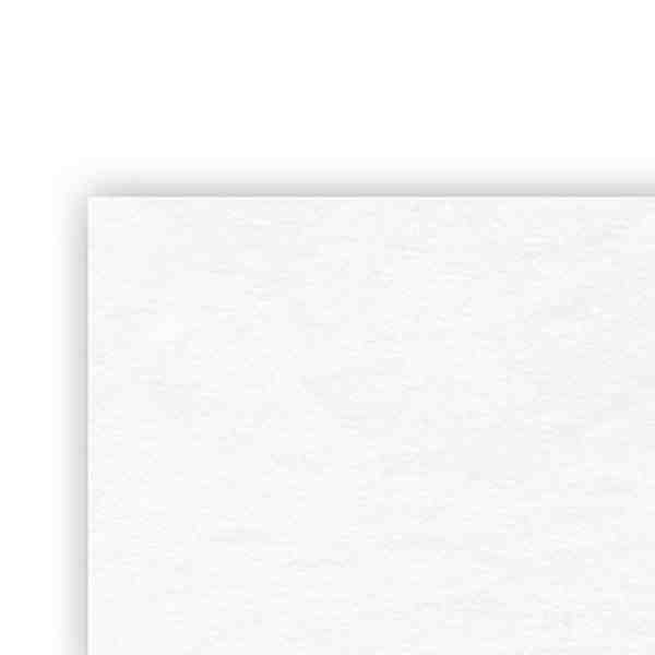 PAPEL VEGETAL.CALCA 110115GRS. 61X91 JISS E.250